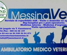 MessinaVet - ambulatorio medico veterinario